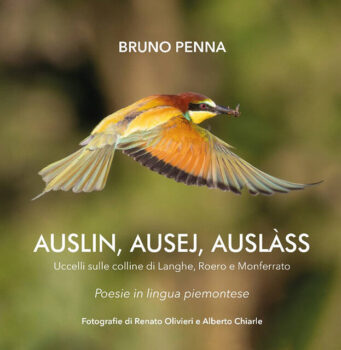 Auslin, ausej, auslàss