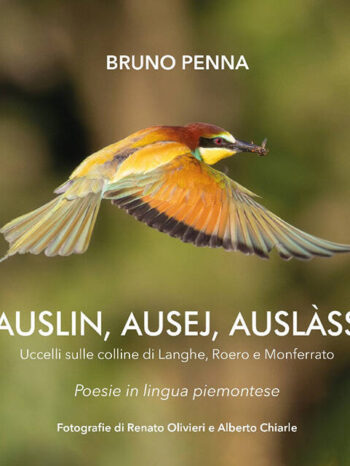 Auslin, ausej, auslàss